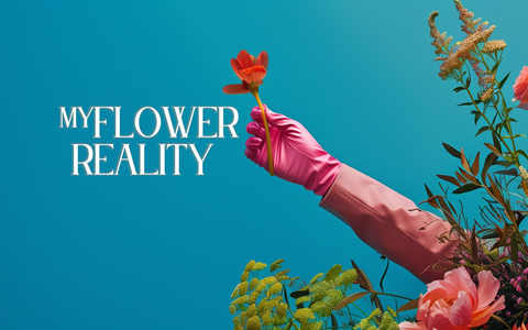 Oculus Quest 游戏《虚拟花盆》My Flower Reality