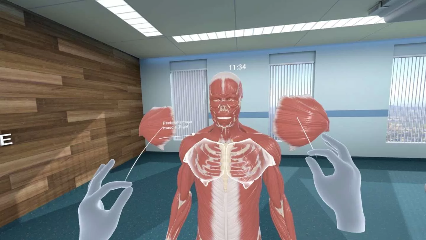 Oculus Quest 游戏《人体解剖VR》Human Anatomy VR