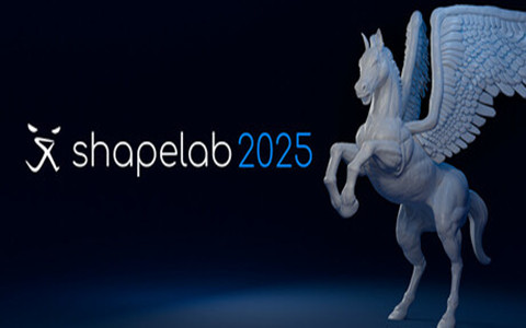 形状实验室（Shapelab 2025）