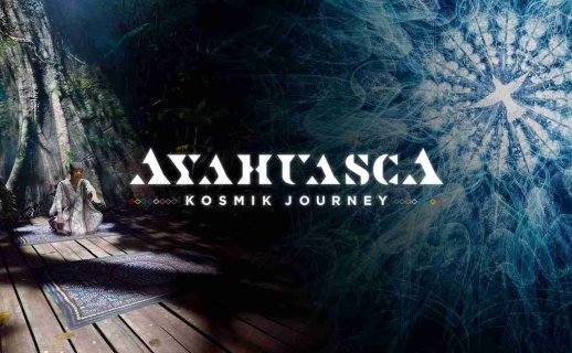 Oculus Quest 游戏《死藤 – 宇宙之旅》Ayahuasca – Kosmik Journey